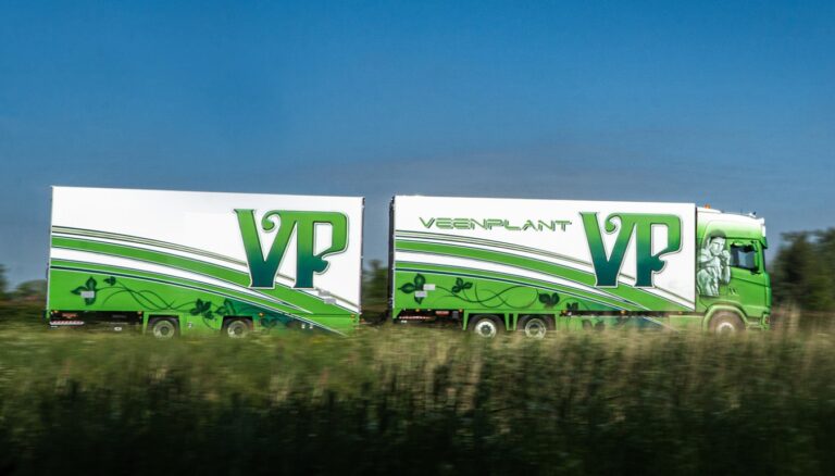 veenplant-24