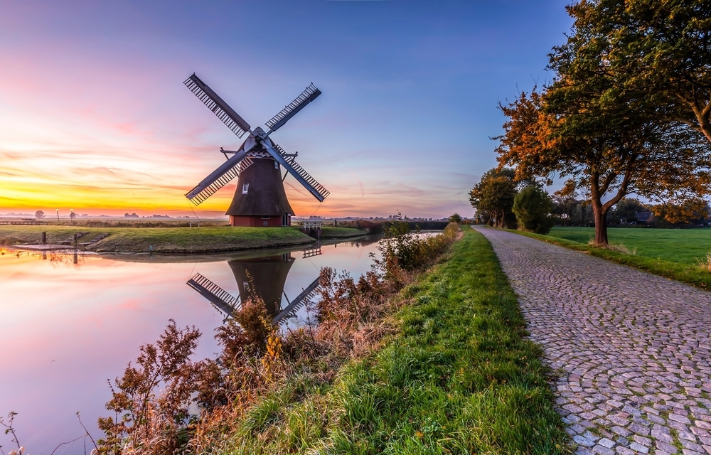 Hoe helpt natuur je om stress te verminderen?