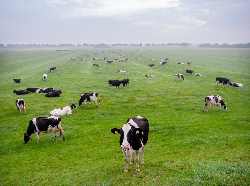 Discussie over de toekomst van de Nederlandse landbouwsector