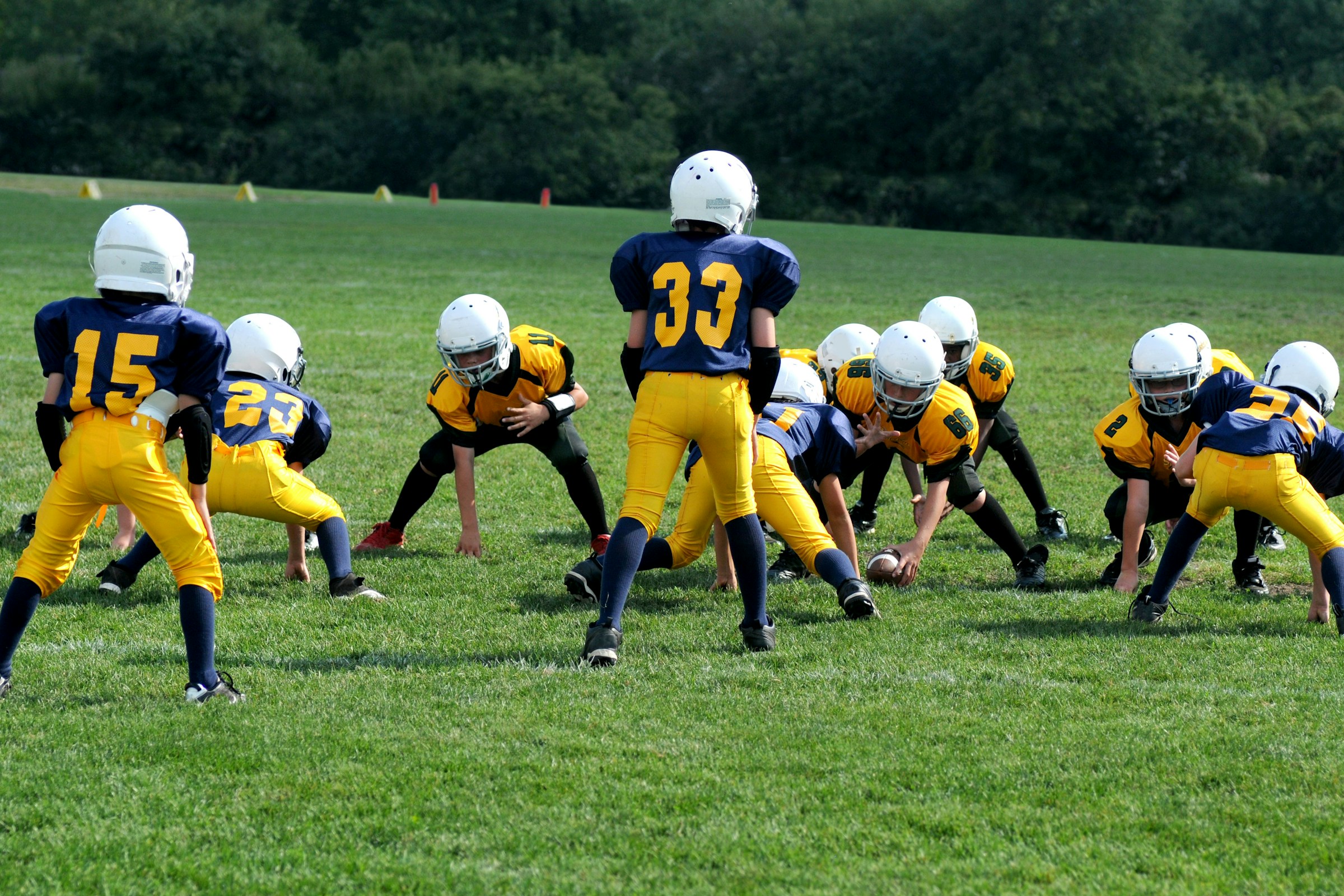 jeugdontwikkeling in sport