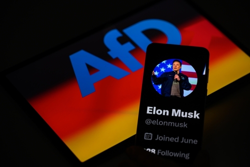 Macht Elon Musk AFD
