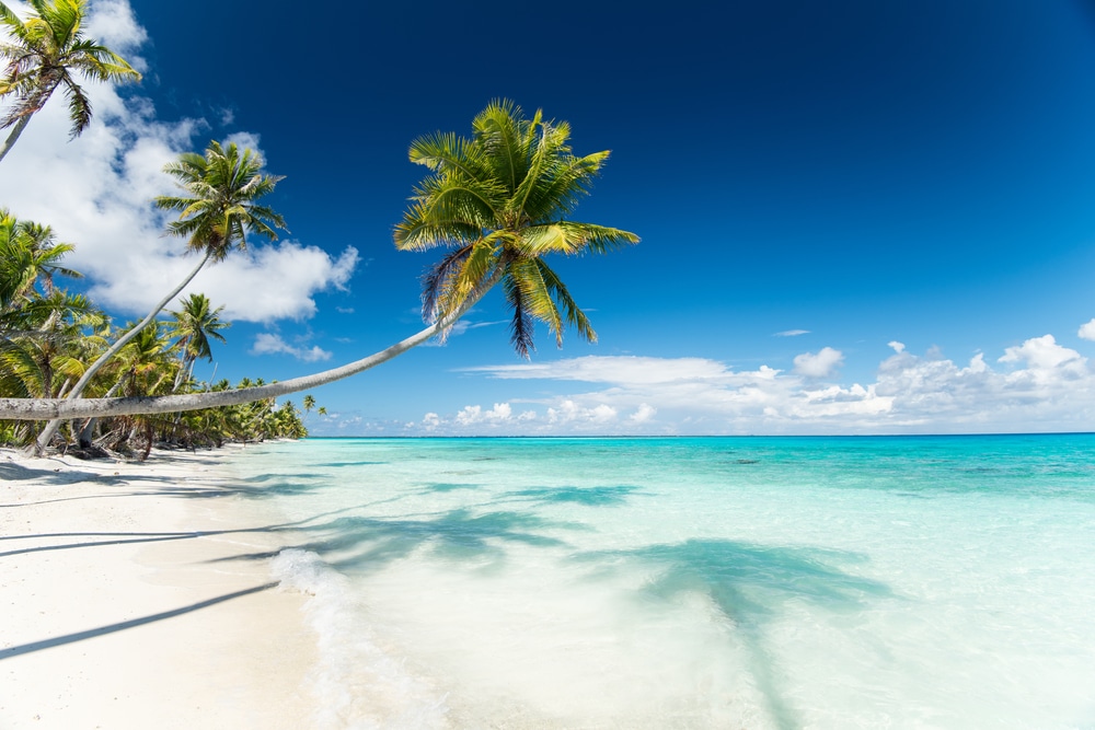 PK9 Beach