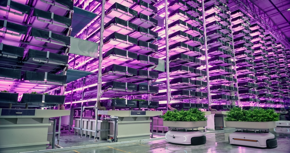 Verticale Landbouw