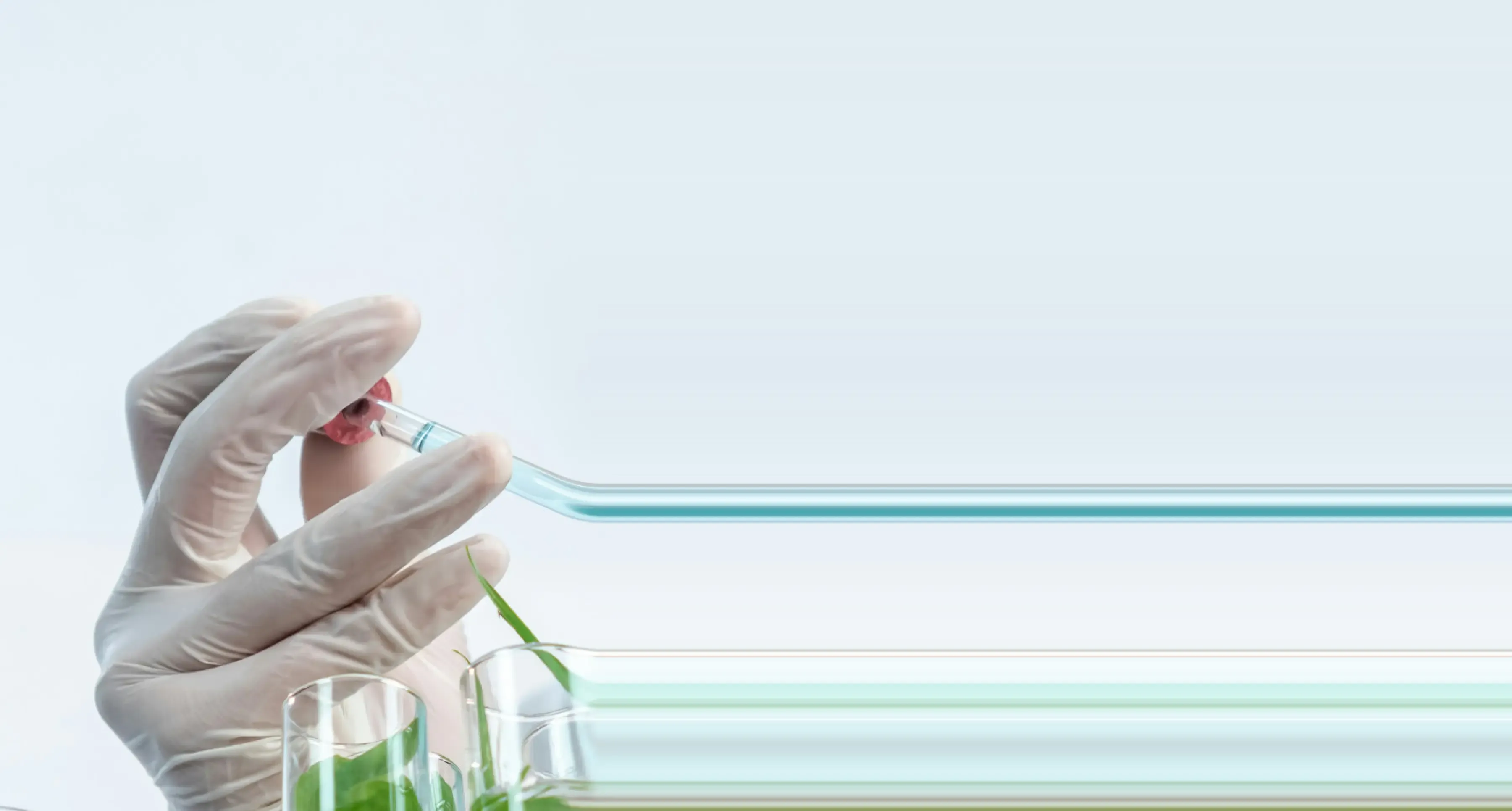 Hudson River Biotechnology B.V.