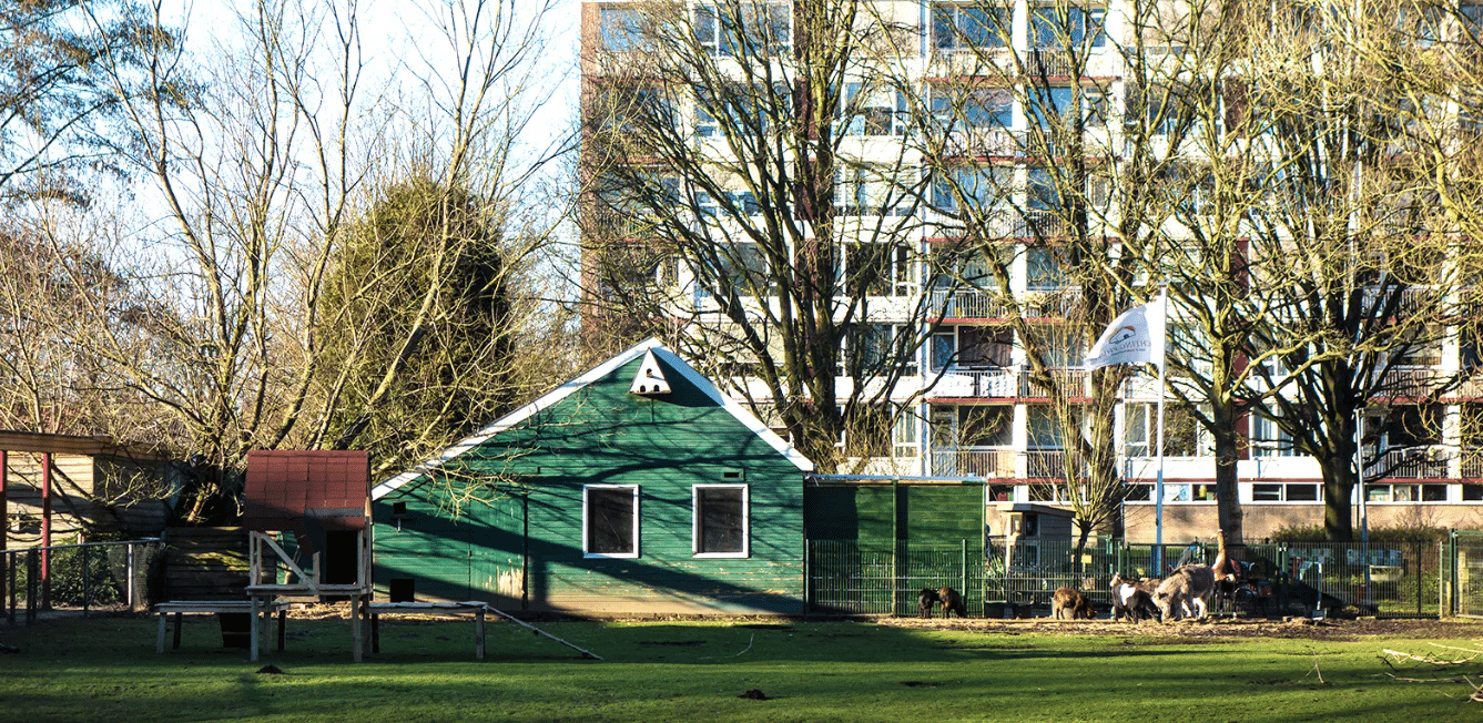 Kinderboerderij De Lariks