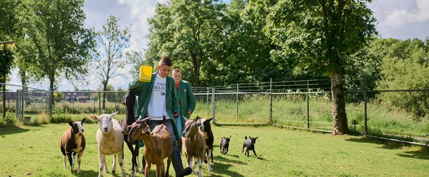 Stichting Agrarisch Opleidingscentrum Terra | Terra VO Winsum