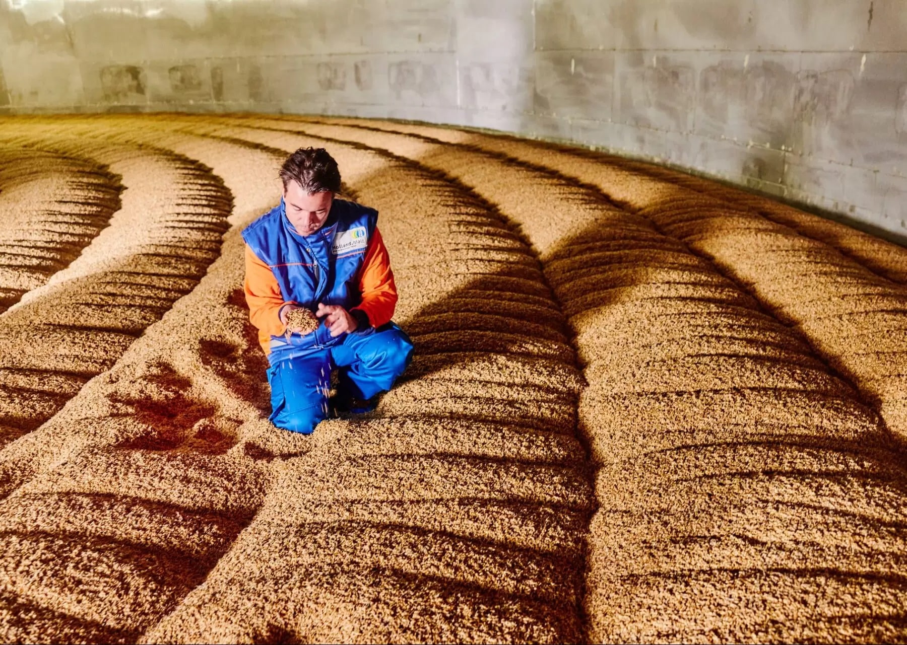 Holland Malt