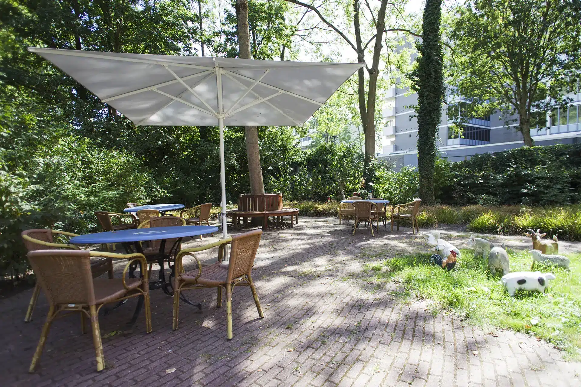 Aafje Roo van Capelle