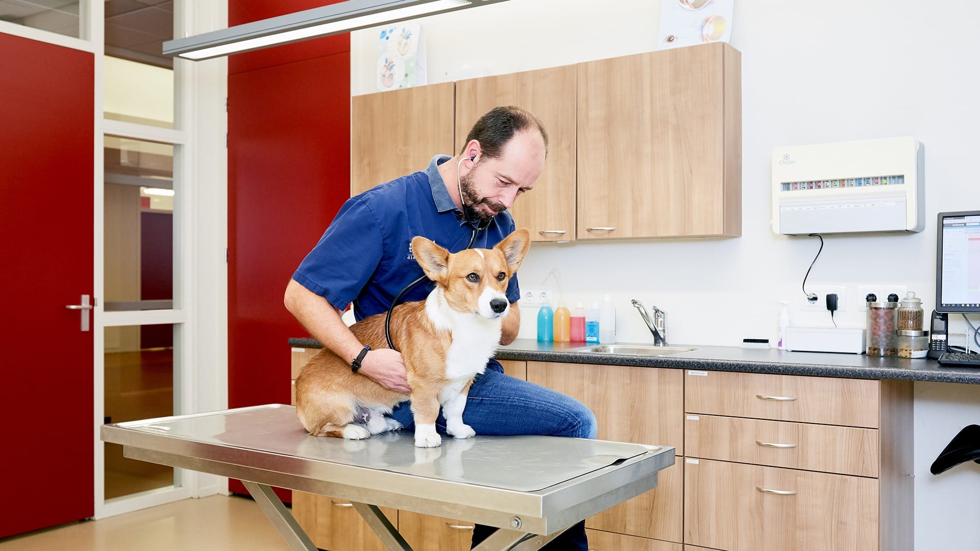 Van Stad tot Wad Dierenartsen Groningen