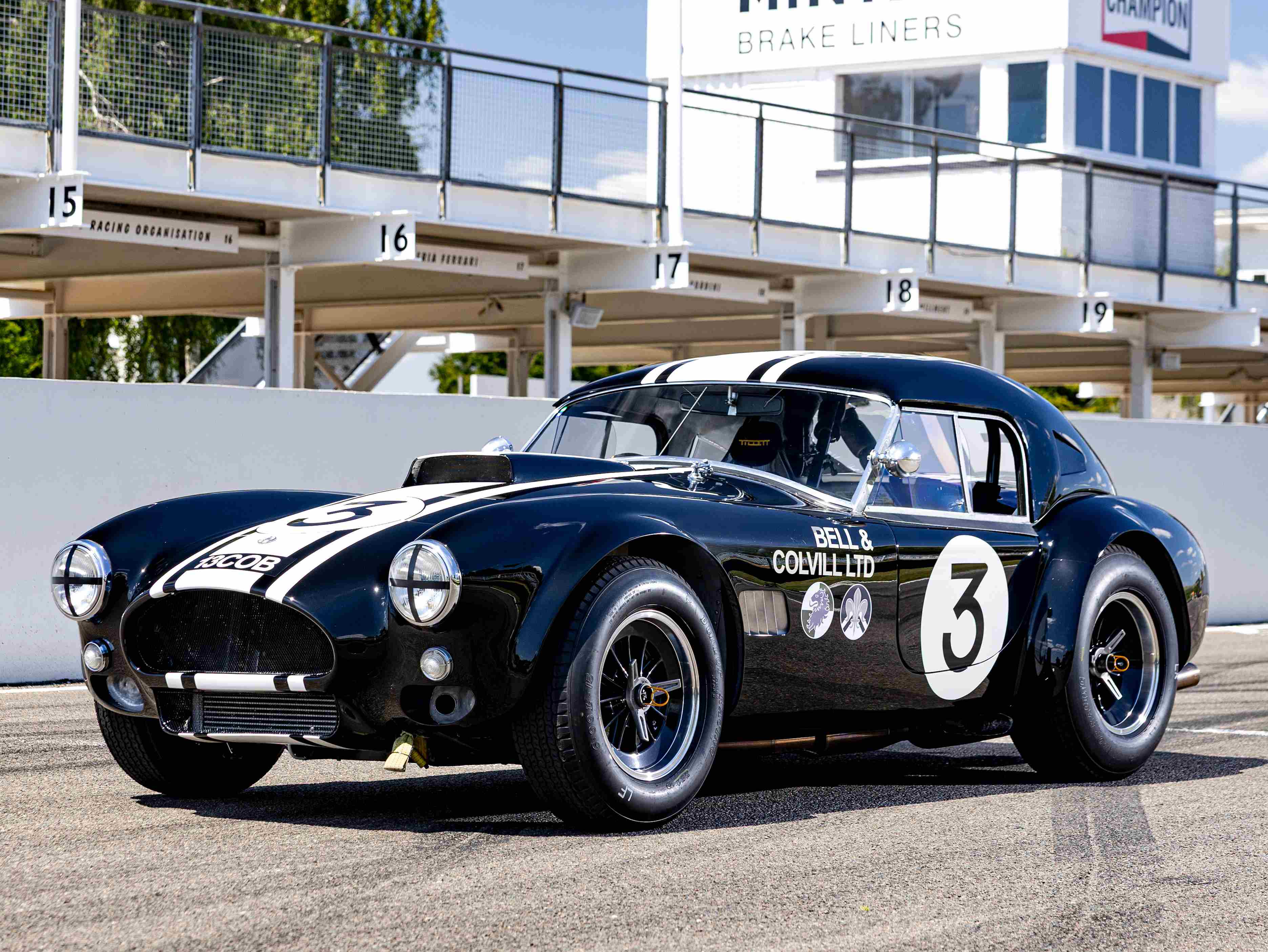 Cobra 1966