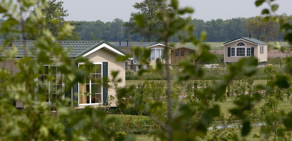 Inflatie daalt licht verder in december